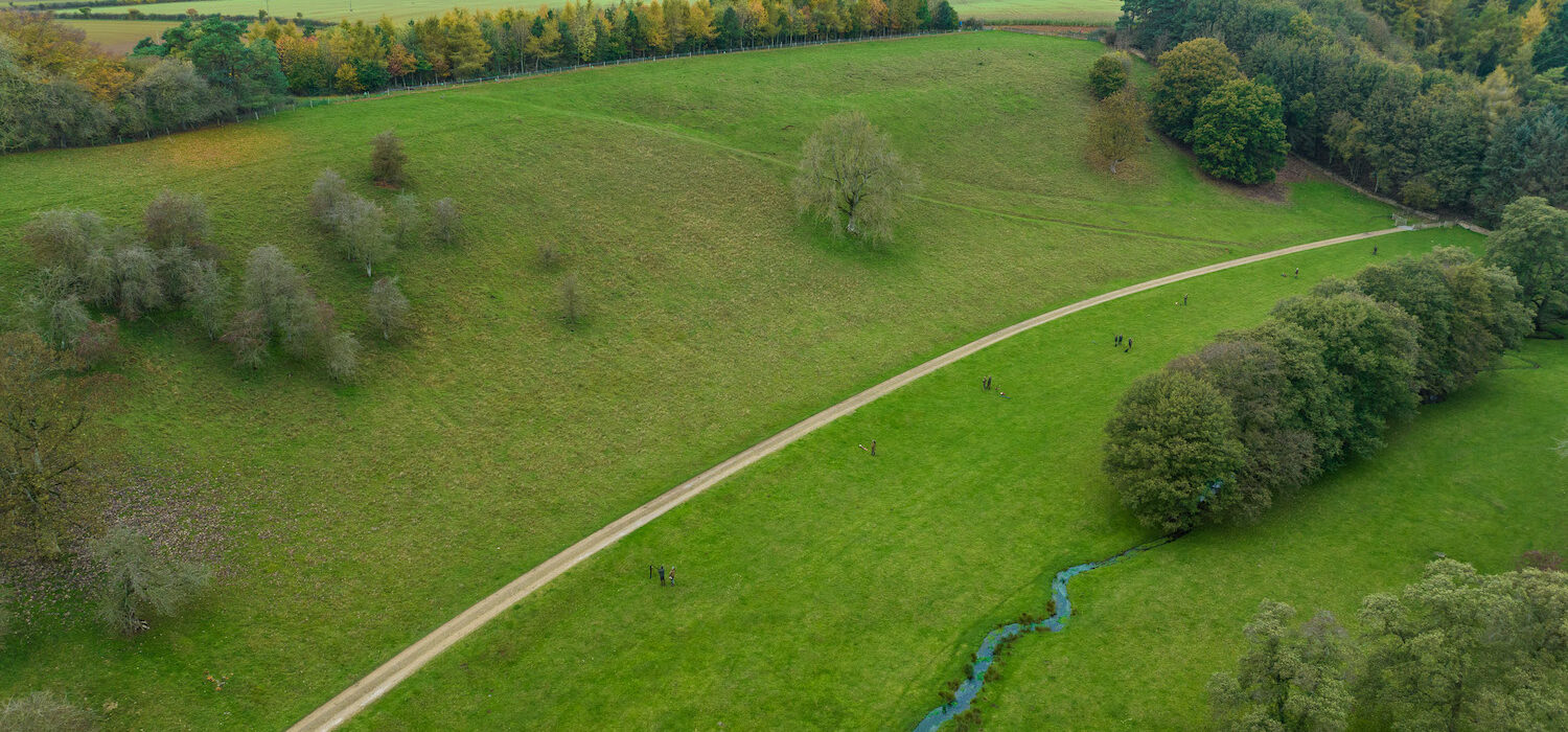 Pheasant shooting UK