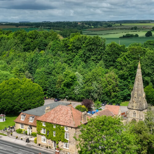 Downe Arms, Wykeham